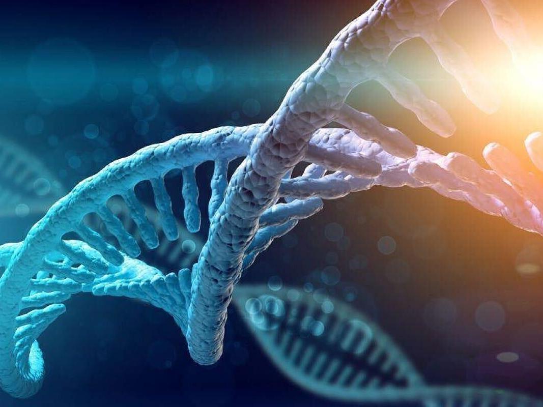 Millions Carry Hidden Cancer Risk, Experts Say